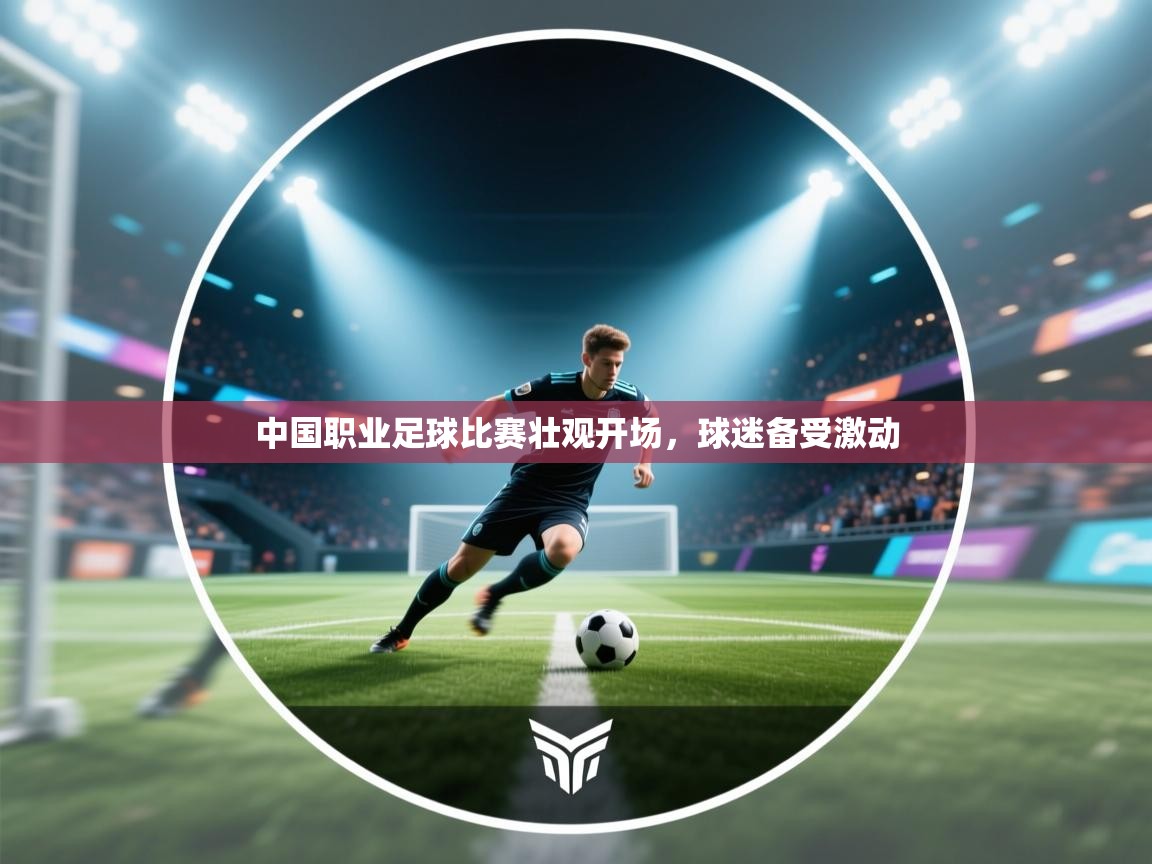 开云体育修改登录密码-中国职业足球比赛壮观开场，球迷备受激动